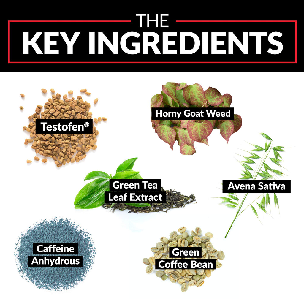 Force Factor Test X180 Gummies Testosterone Booster for Men with Tongkat Ali, Horny Goat Weed, Tribulus Terrestris, Fenugreek, & Black Maca, Supplement Men, Berry Punch, 60 Gummies, 1-Pack