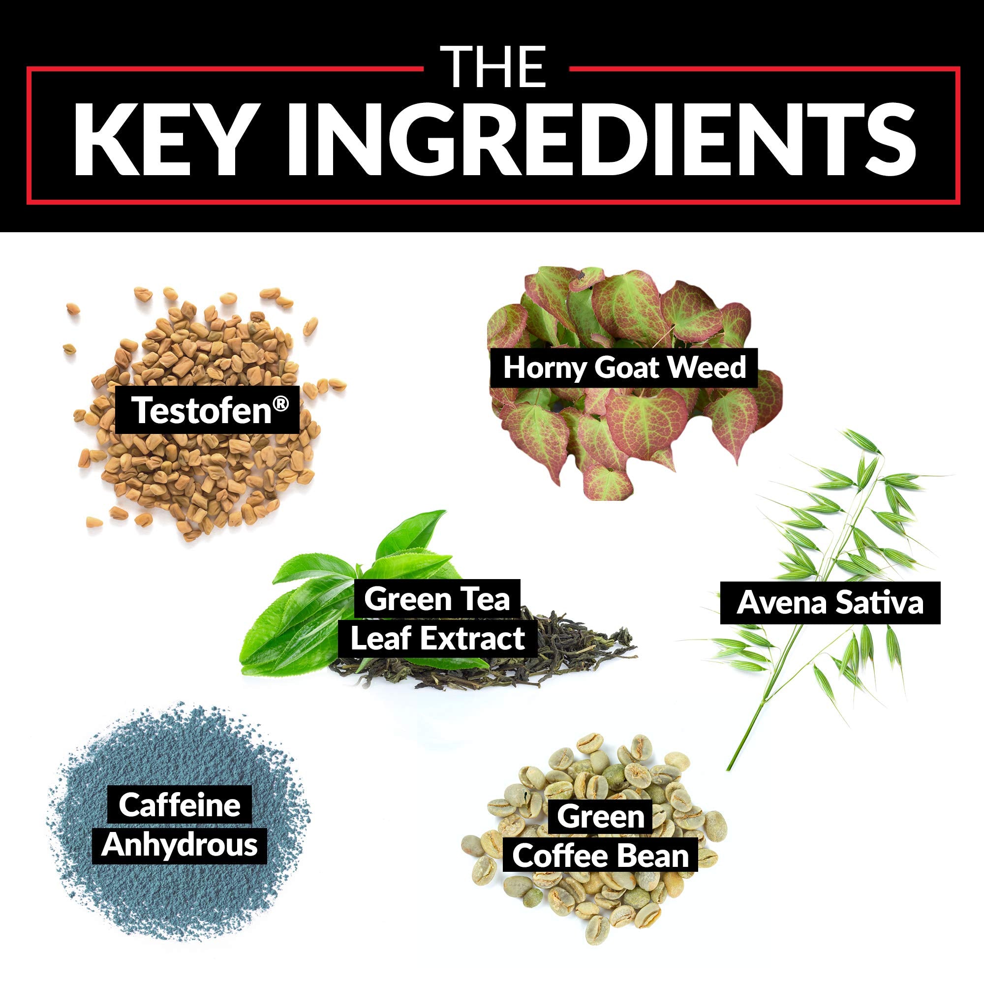 Force Factor Test X180 Gummies Testosterone Booster for Men with Tongkat Ali, Horny Goat Weed, Tribulus Terrestris, Fenugreek, & Black Maca, Supplement Men, Berry Punch, 60 Gummies, 1-Pack